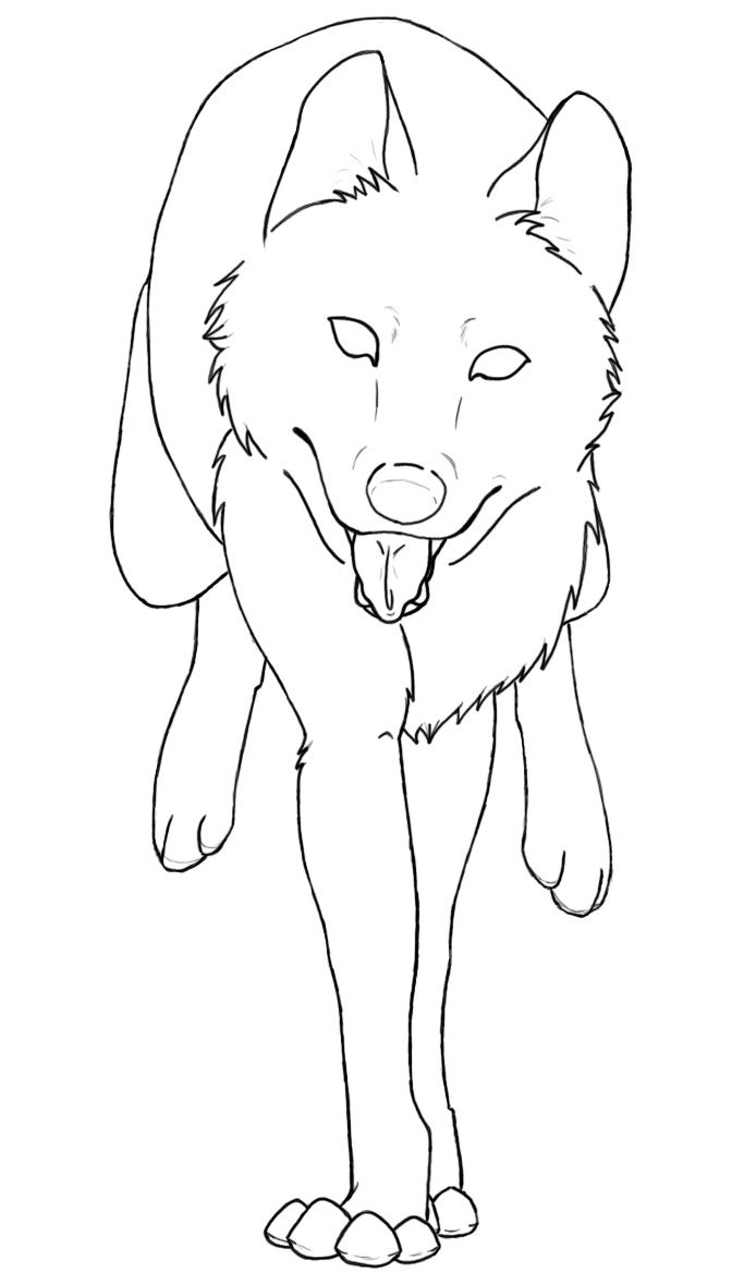 Wolves coloring pages anime wolf drawing animal coloring pages anime wolf