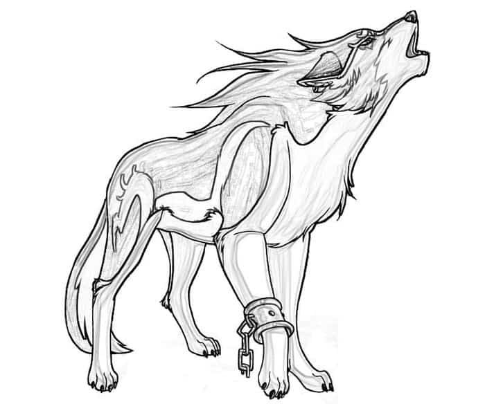 Discover the enchanting world of anime wolves coloring pages