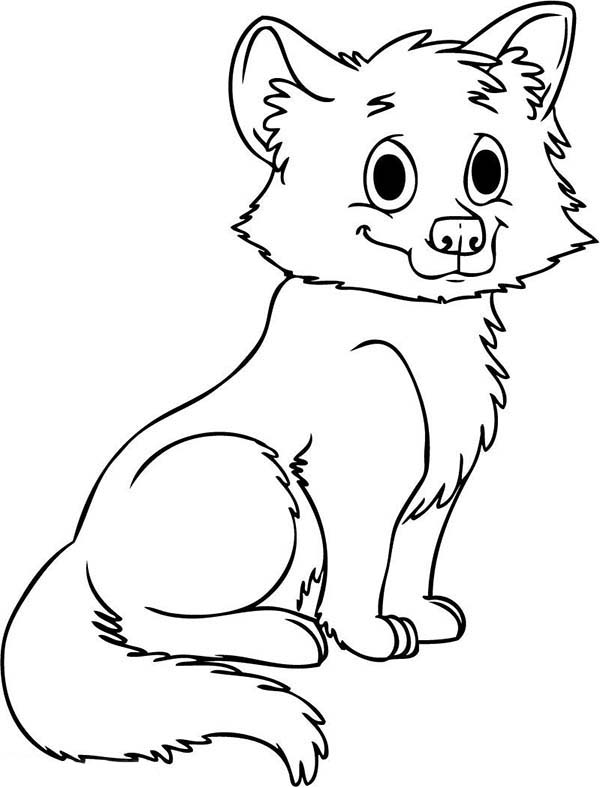 Coloring pages cute baby wolf coloring pages