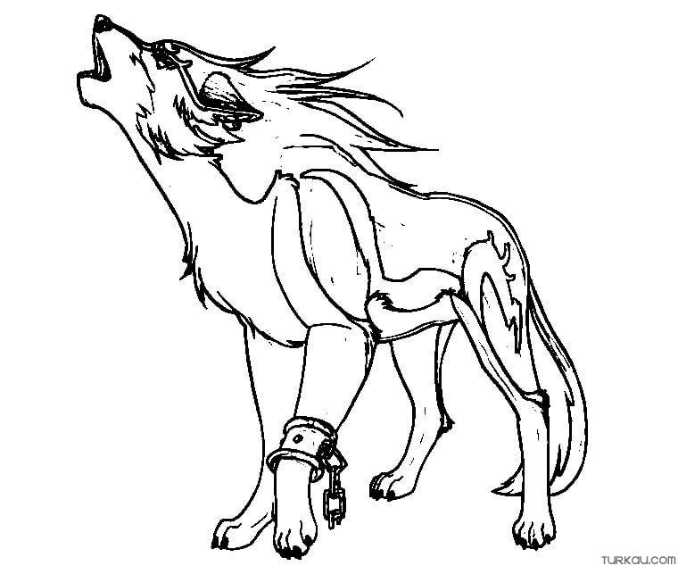 Anime freedom wolf coloring page