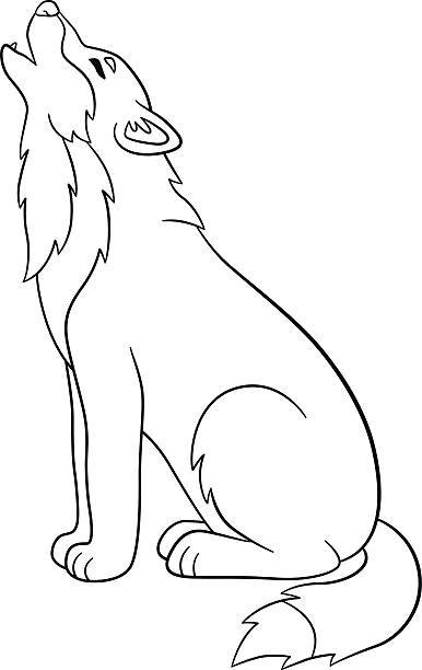 Coloring pages cute beautiful wolf howling stock illustration