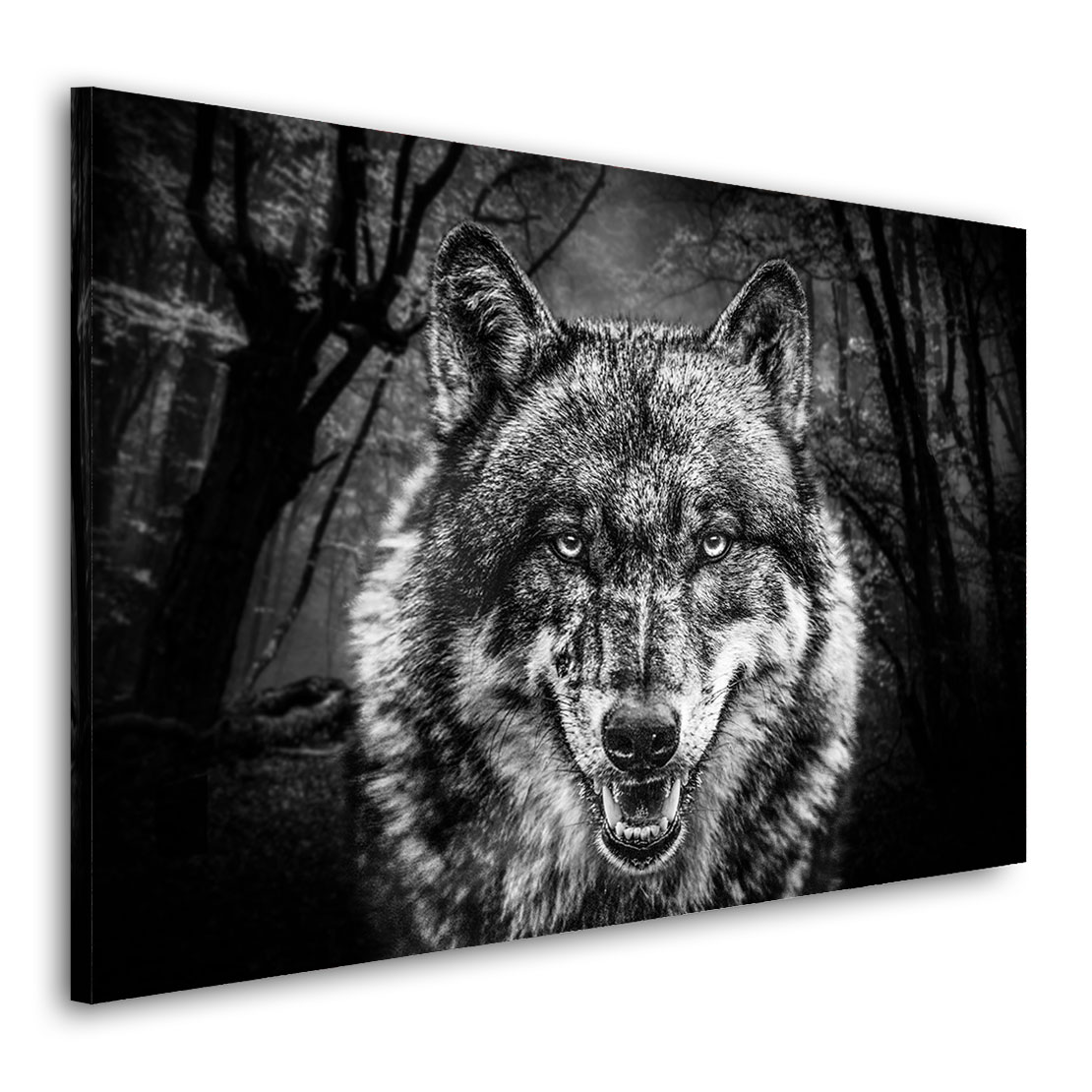 Download Free 100 + wolf black and white