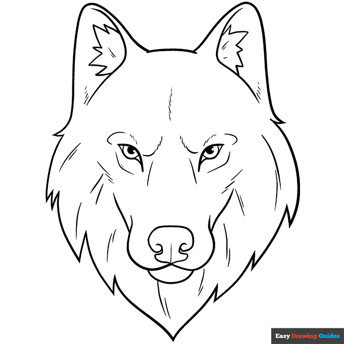 Wolf face and head coloring page easy drawing guides