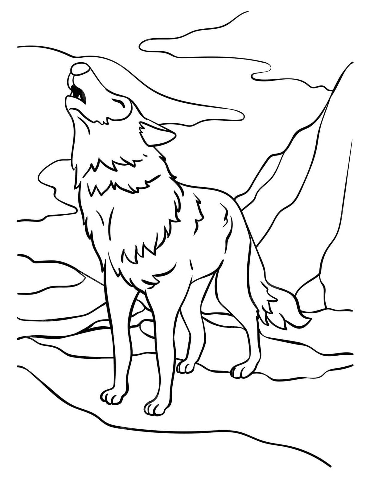 Wolf drawing png vector psd and clipart with transparent background for free download