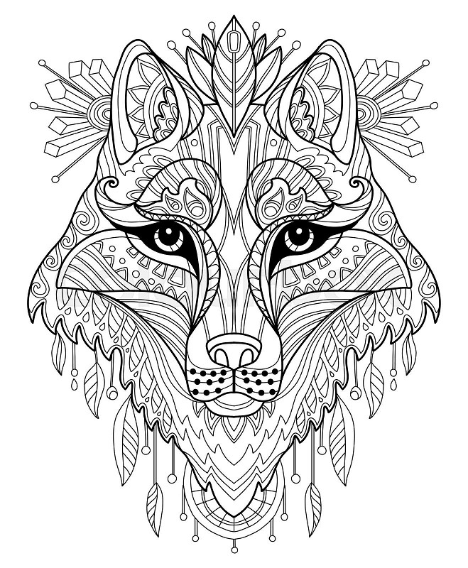 Wolf head adult antistress coloring page vector stock vector