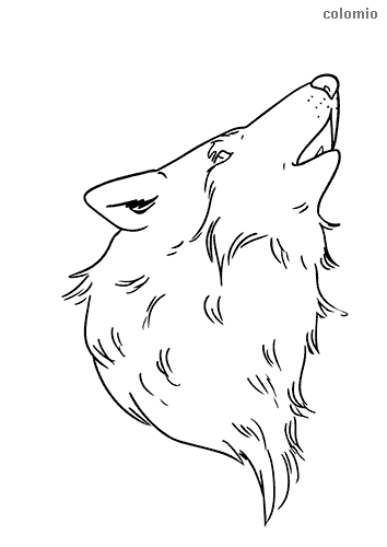 Wolves coloring pages free printable wolf coloring sheets