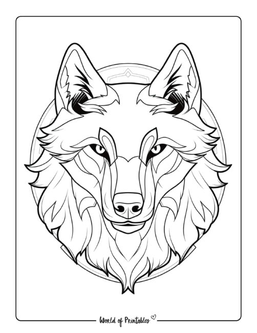 Wolf coloring pages for kids adults