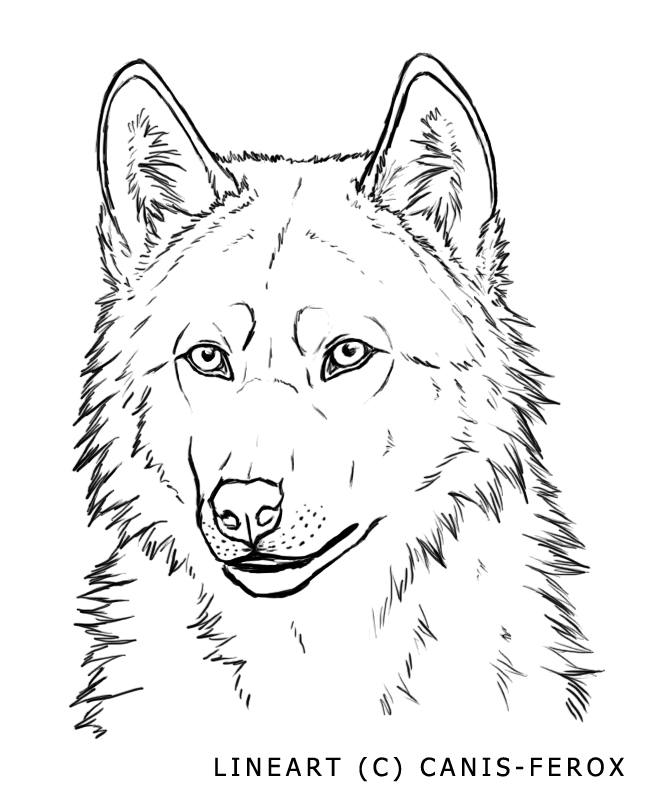 Wolf face coloring page