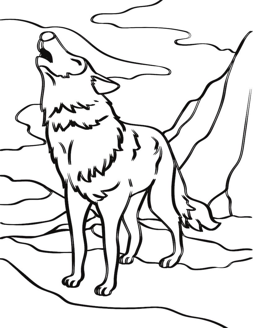 Majestic wolf coloring pages for kids and adults