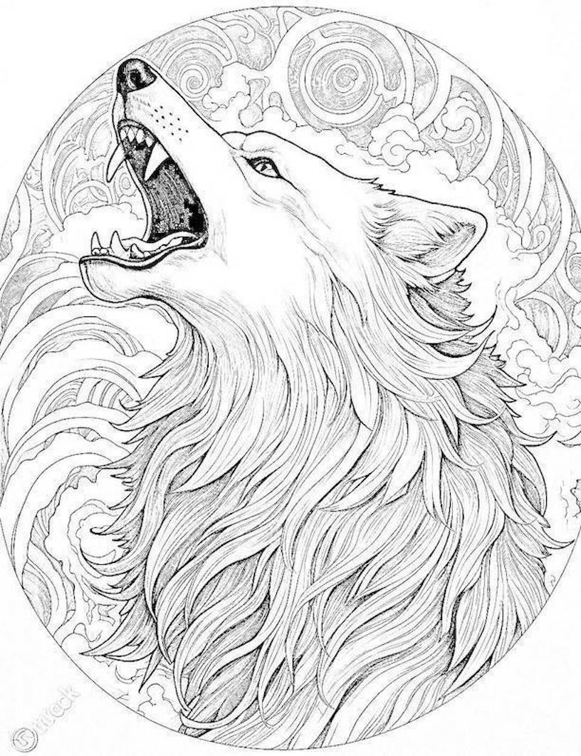 Majestic wolf coloring pages for kids and adults