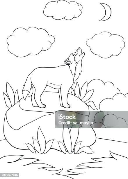 Coloring pages cute beautiful wolf howling at the moon stock illustration