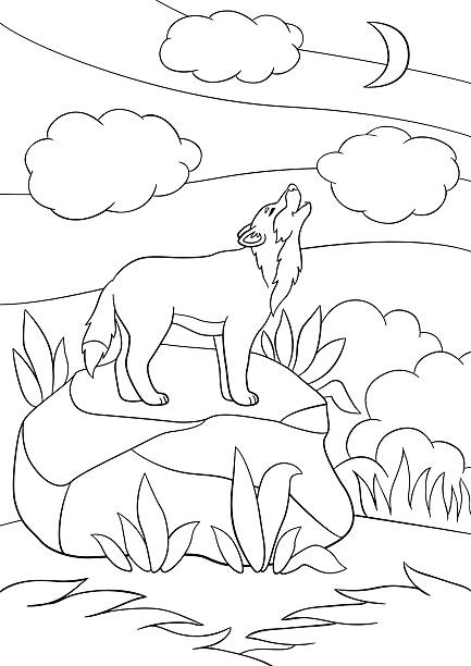 Coloring pages cute beautiful wolf howling at the moon stock illustration