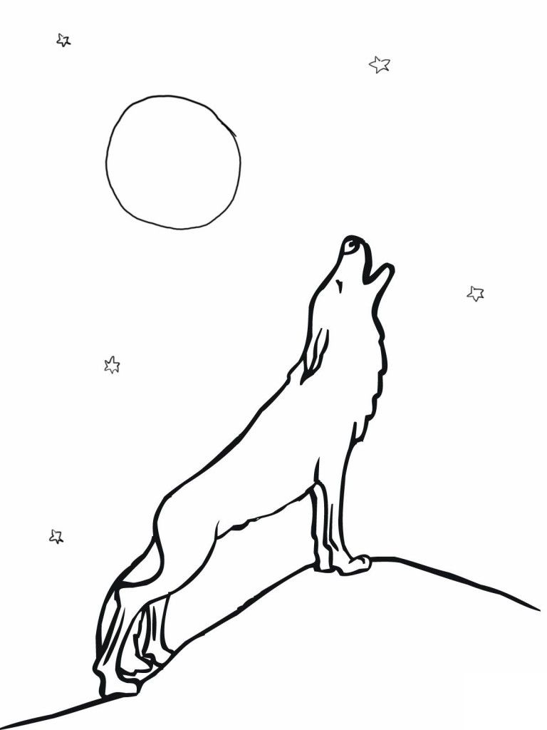 Free printable wolf coloring pages for kids animal coloring pages zoo animal coloring pages deer coloring pages