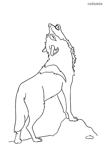 Wolves coloring pages free printable wolf coloring sheets