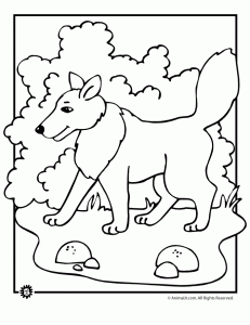 Wolf coloring pages animal jr