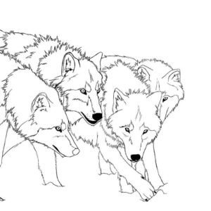 Wolf coloring pages printable for free download