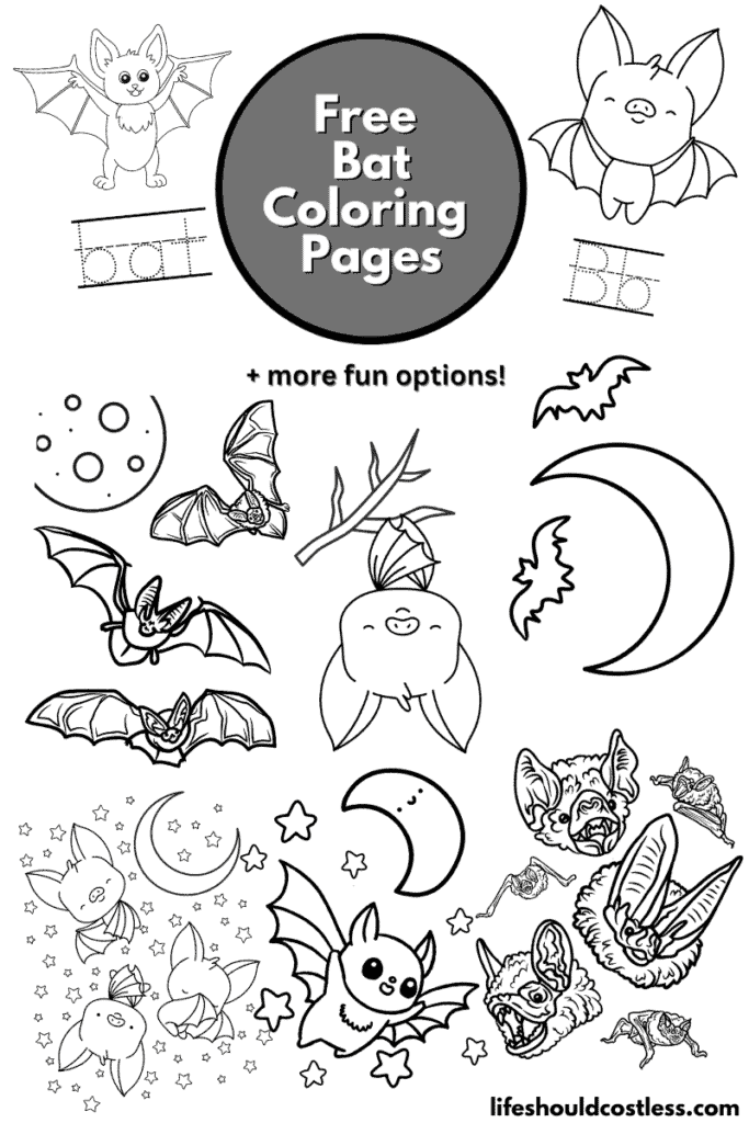 Bat coloring pages free printable pdf templates