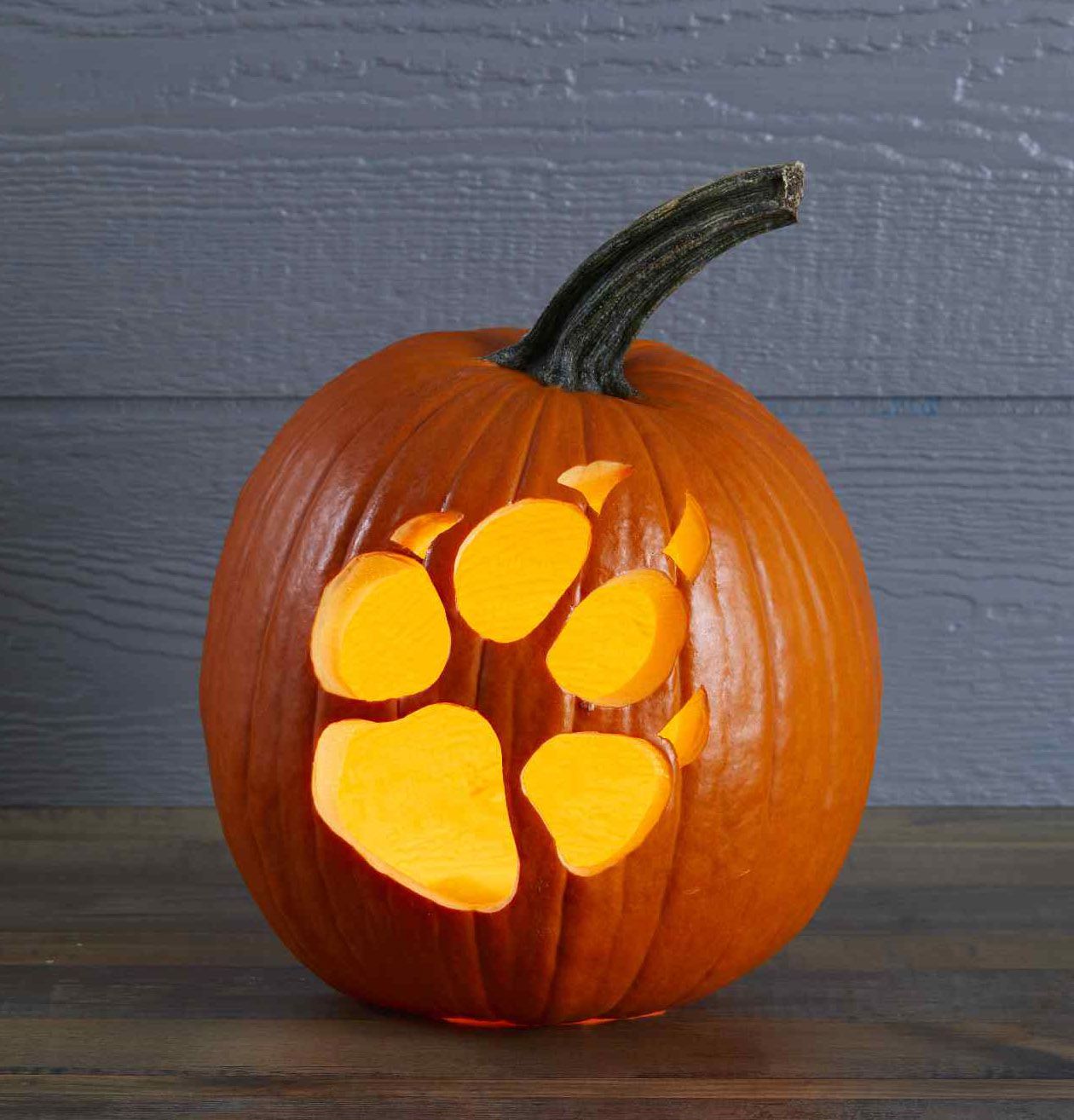 Paw print pumpkin stencil