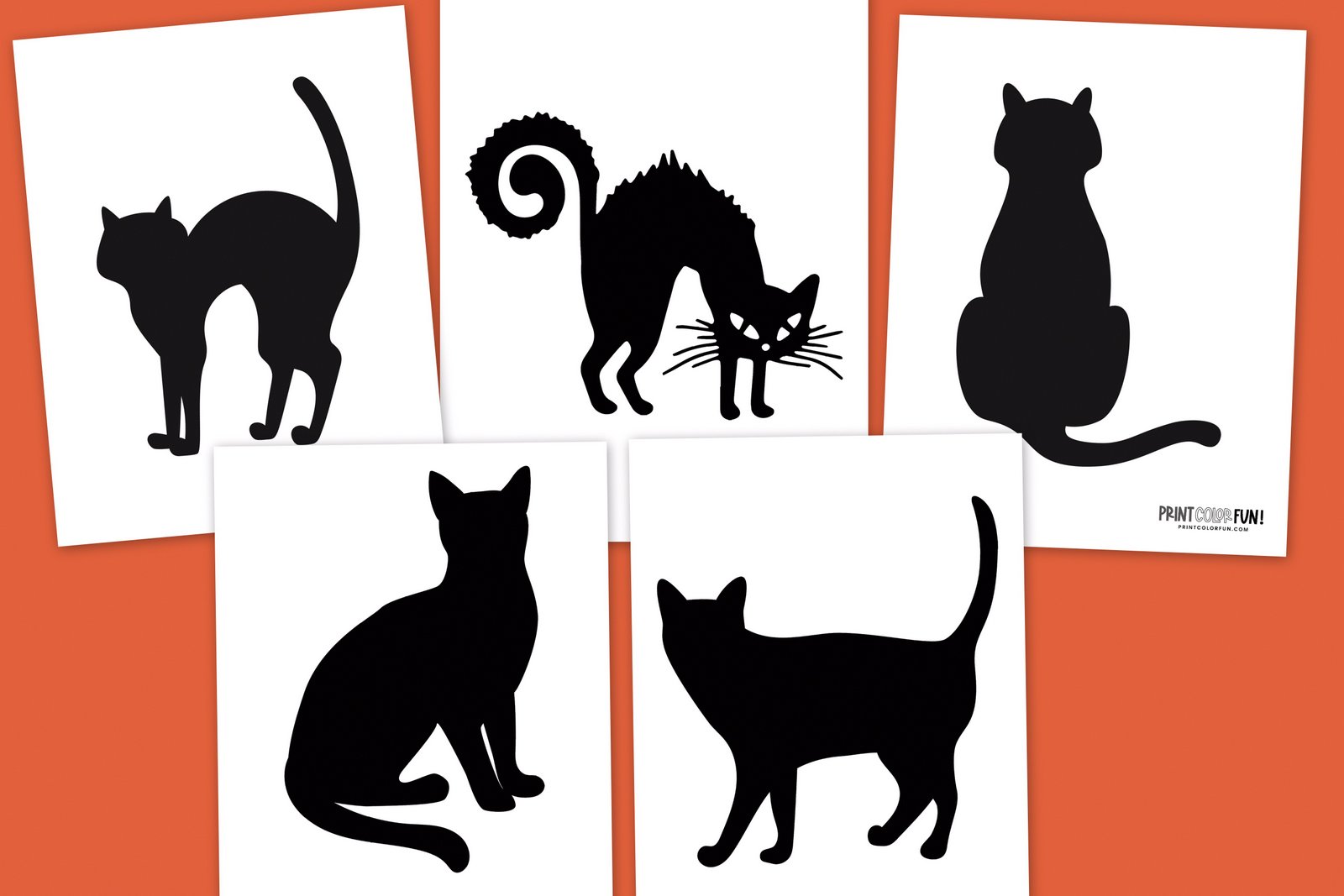 Black cat pumpkin carving stencils cats for halloween at