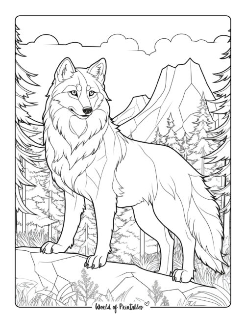 Wolf coloring pages for kids adults