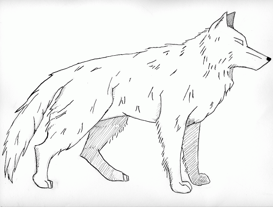 Wolf coloring pages printable for free download