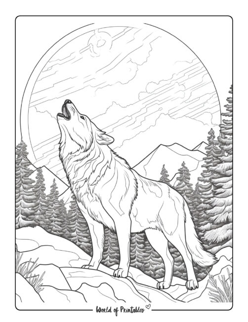 Wolf coloring pages for kids adults