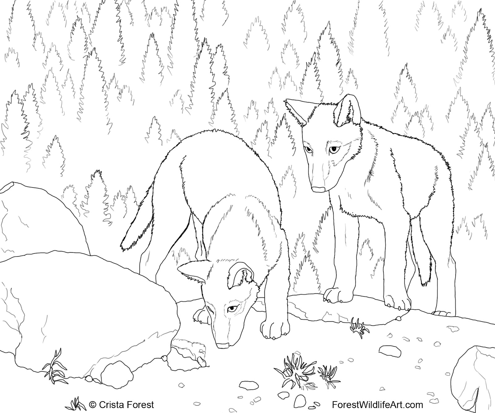 Crista forests animals art wolf pups coloring book page