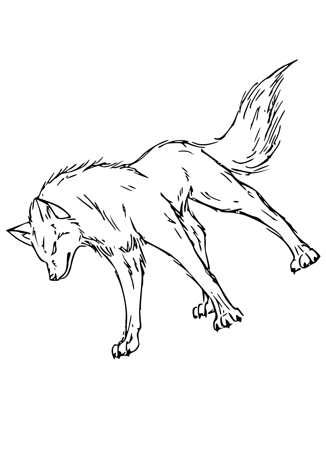 Free printable wolf real coloring page for adults and kids