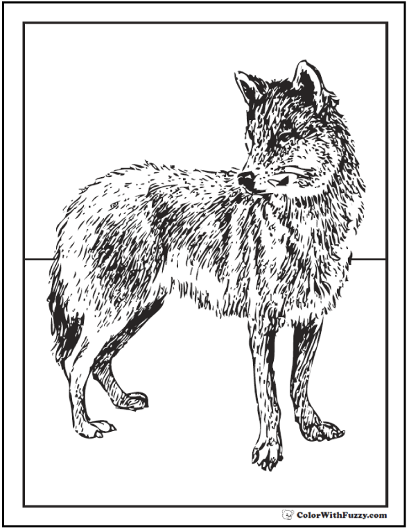 Wolf coloring pages print and customize