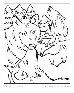 Wolf pack worksheet education horse coloring pages coloring pages adult coloring pages