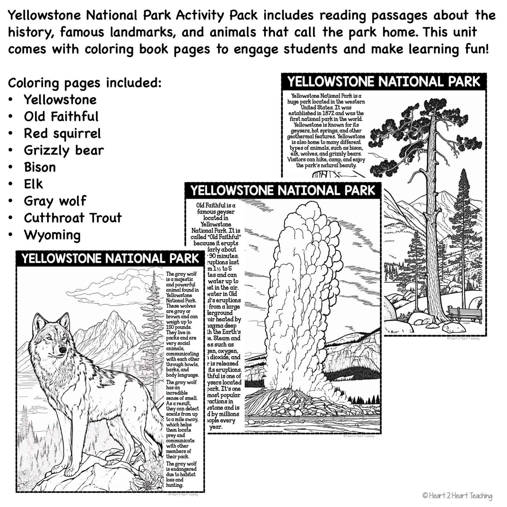 Yellowstone national park coloring pages â heart heart teaching