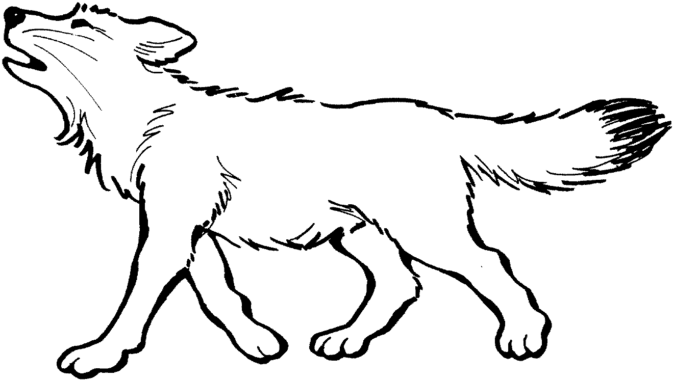 Free printable wolf coloring pages for kids