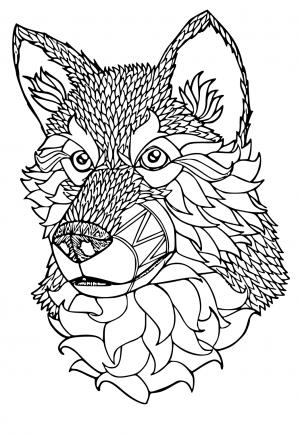 Free printable wolf coloring pages for adults and kids