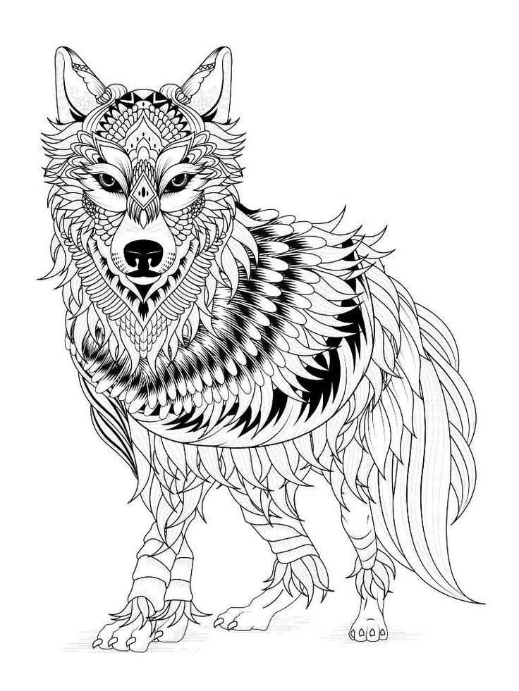 Printable coloring pages wolf colors mandala coloring pages mandala coloring