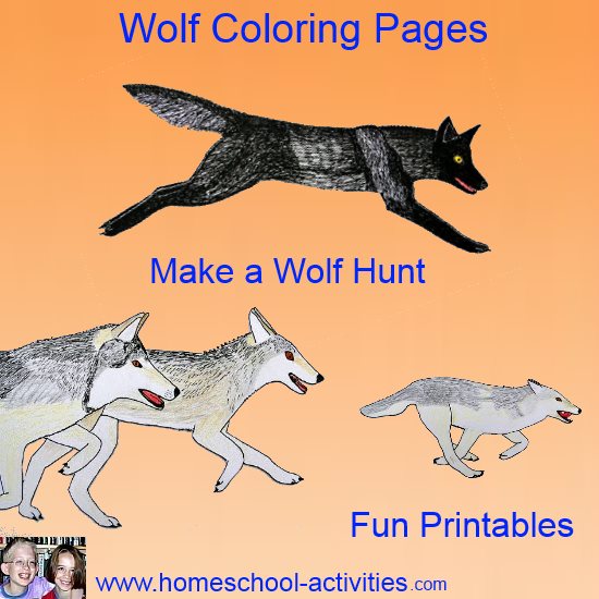 Wolf coloring pages art projects for kids