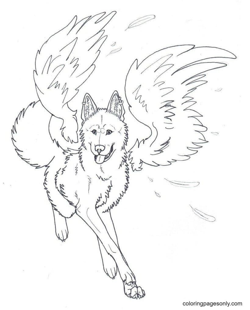 Wolf with wings coloring pages printable for free download