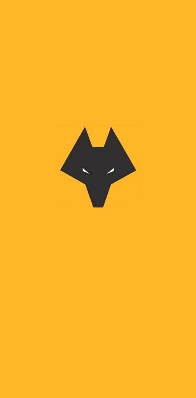 Wolves fc wallpaper by wolvescrazy