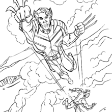 Wolverine coloring pages