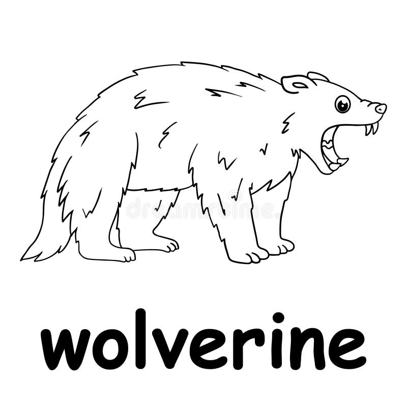 Wolverine animal stock illustrations â wolverine animal stock illustrations vectors clipart