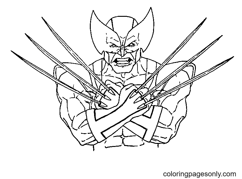 Wolverine coloring pages printable for free download