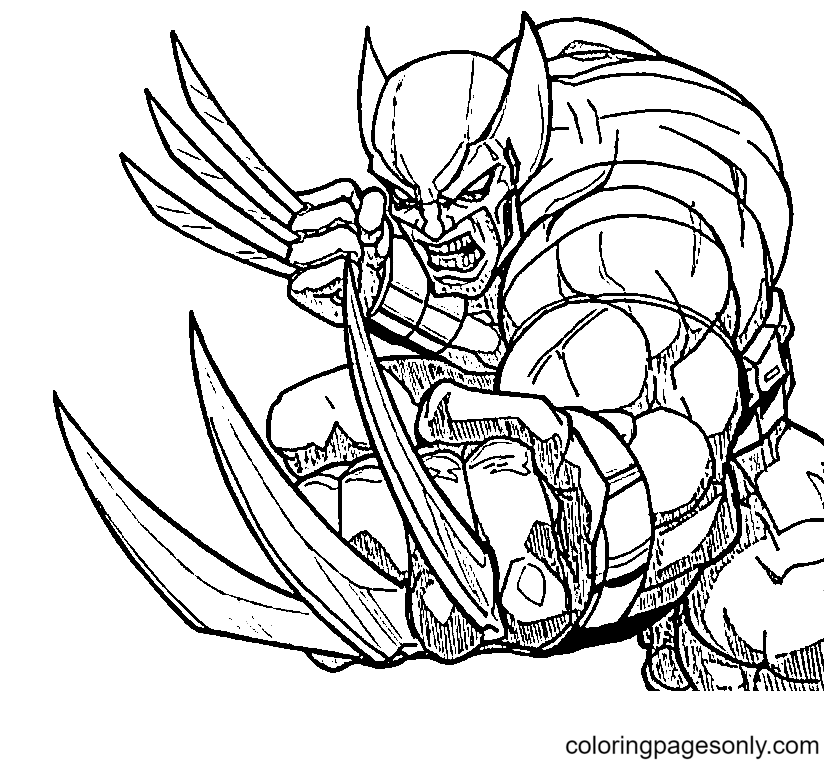 Wolverine coloring pages printable for free download