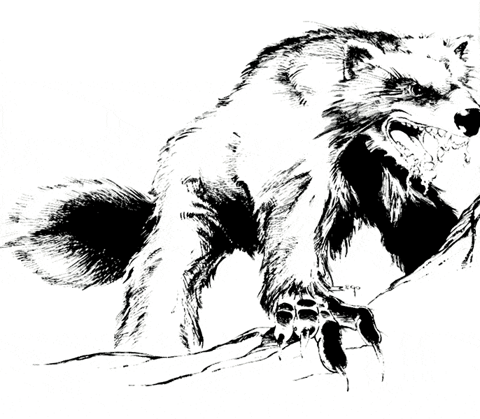 Wolverine coloring page