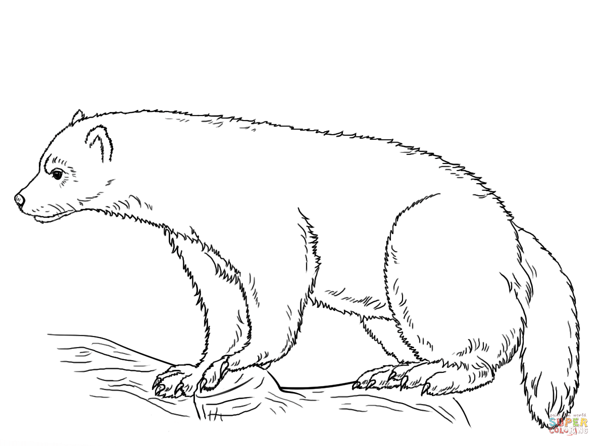 Wolverine coloring page free printable coloring pages