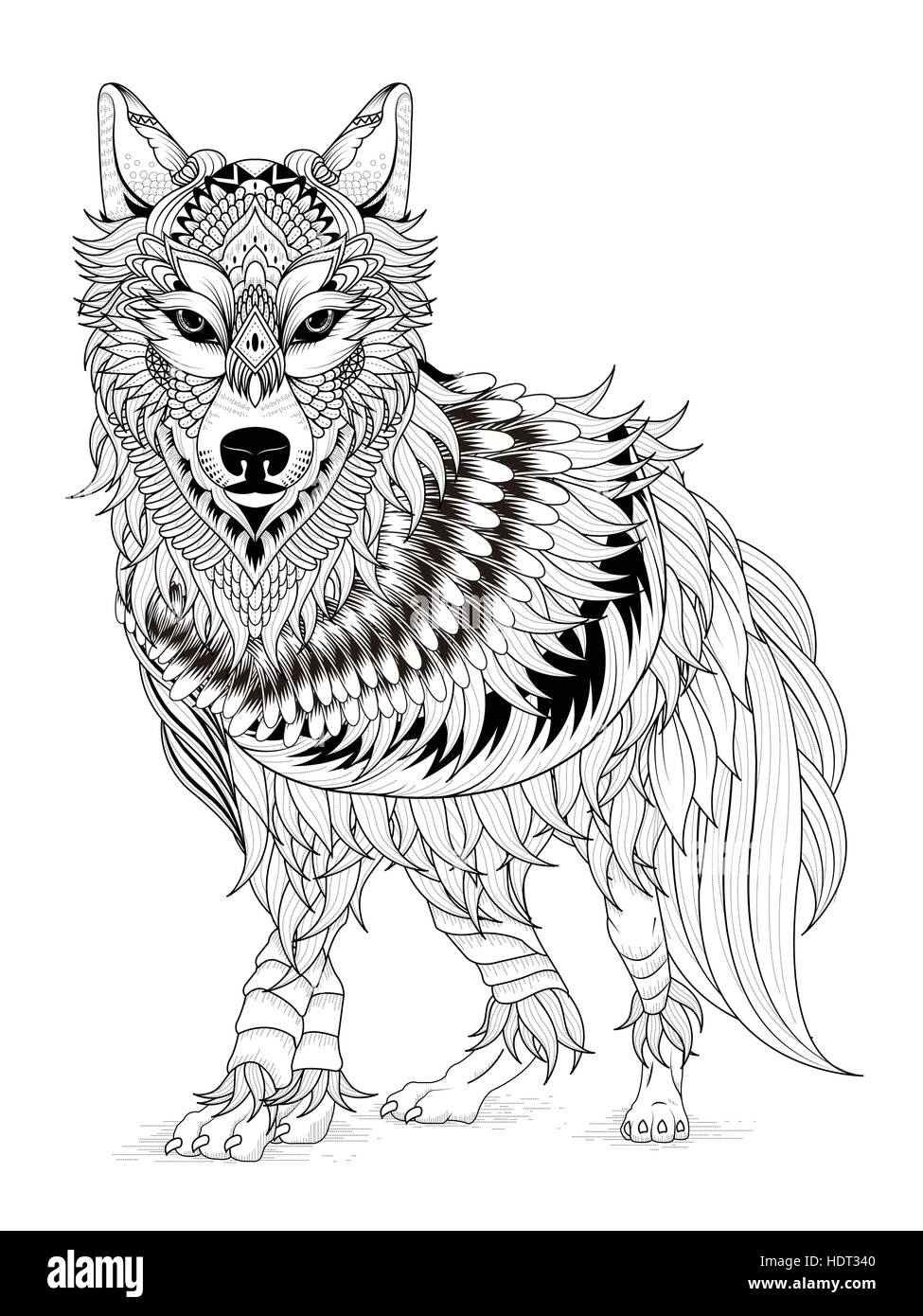 Imposing wolf coloring page in exquisite line stock vector image art