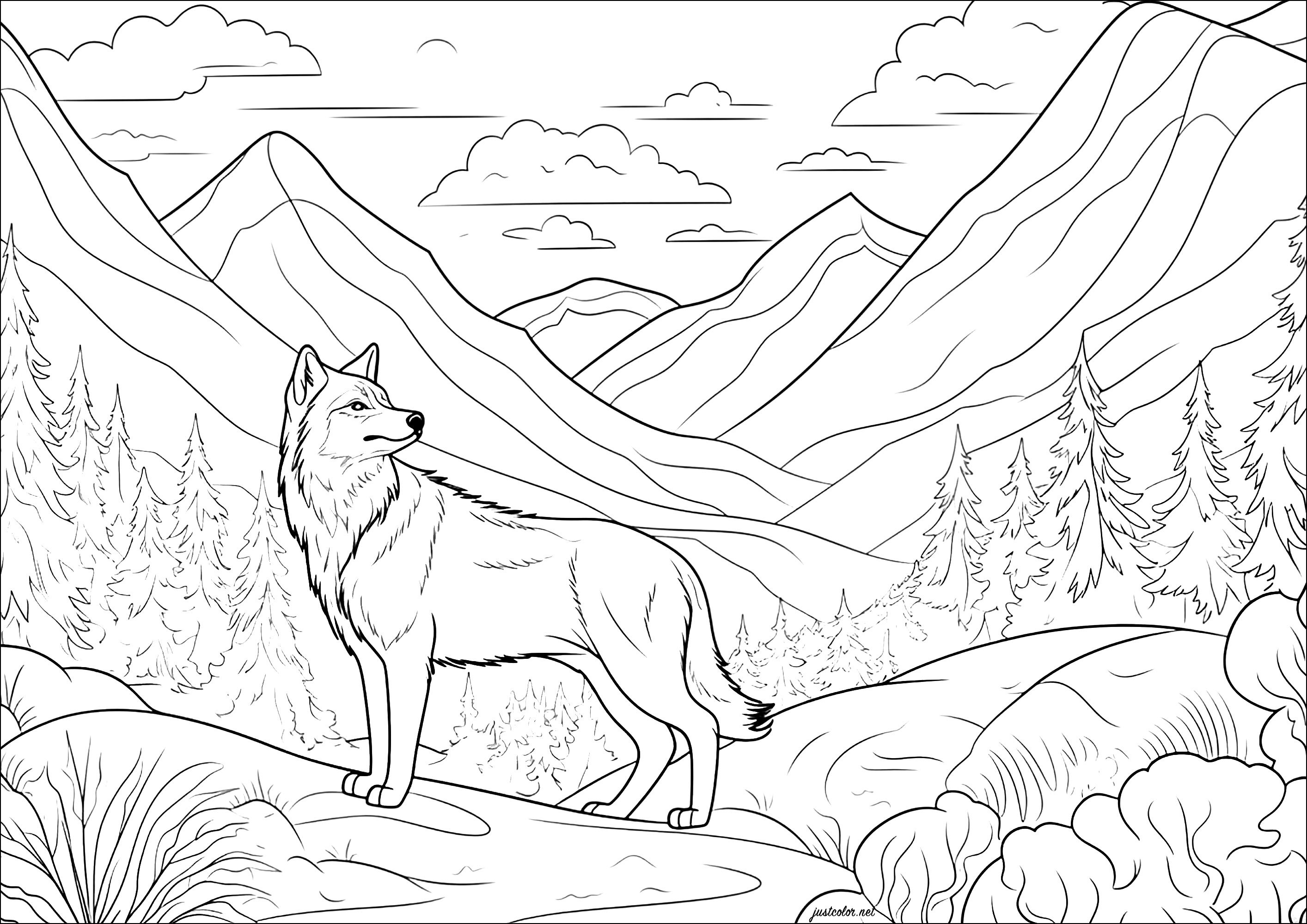 Wolf in the mountain