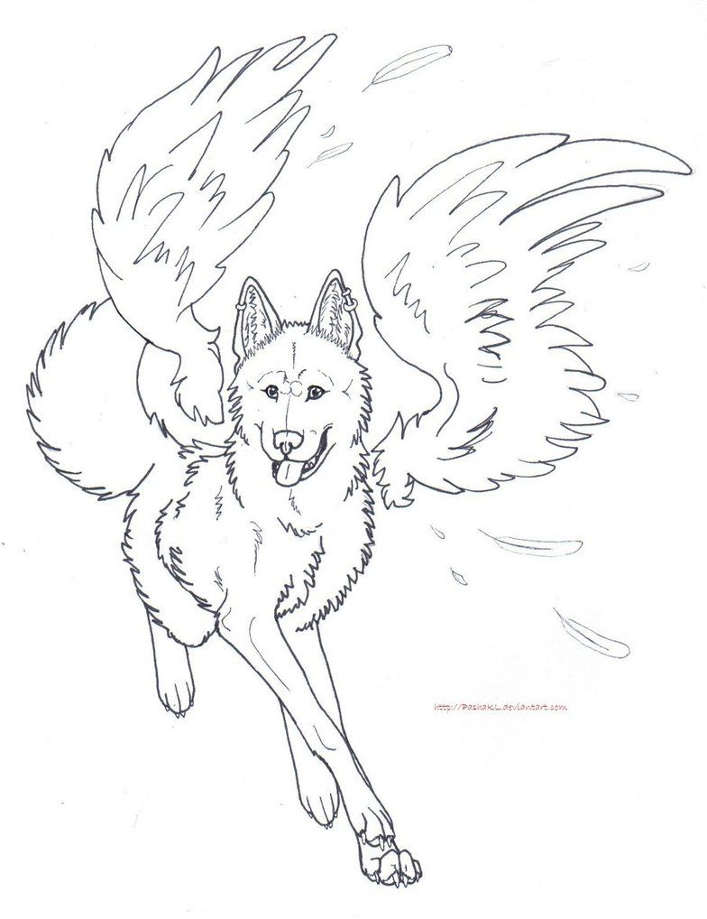 Free winged wolf lines by pashakl on deviantart detailed coloring pages angel coloring pages horse coloring pages