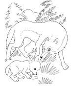 Wolf coloring pages free coloring pages