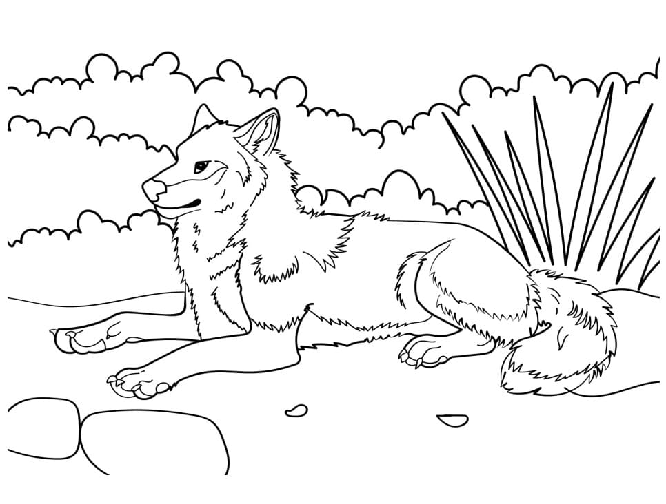 Wolf coloring pages