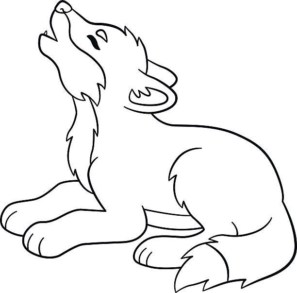 Coloring pages little cute baby wolf howls stock illustration