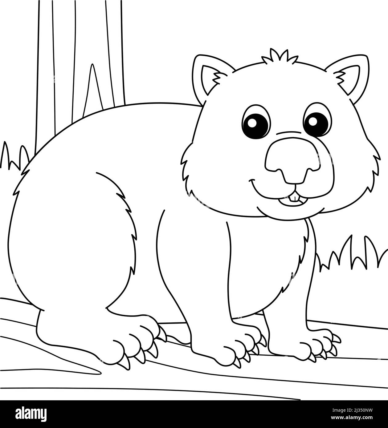 Wild wombat stock vector images